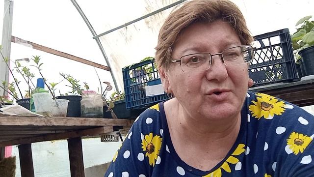 8 апреля.Обещают заморозки.