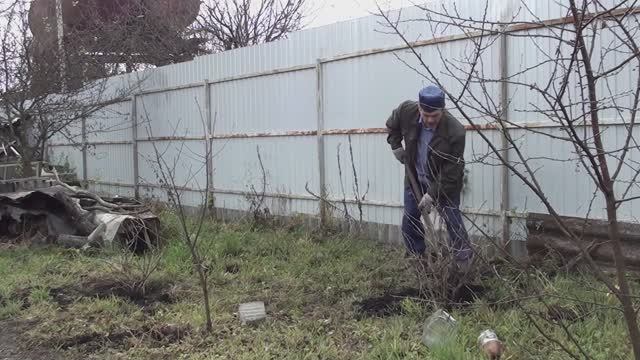 Обрезал и посадил клубнику/ Пересадил кусты крыжовника смотреть онлайн