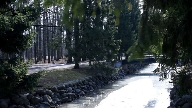 ЕЛОВЫЙ ФОН Футаж смотреть онлайн