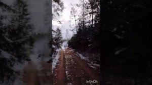 Бег по пересеченной местности! 18 километров по красивой зимней сказке!