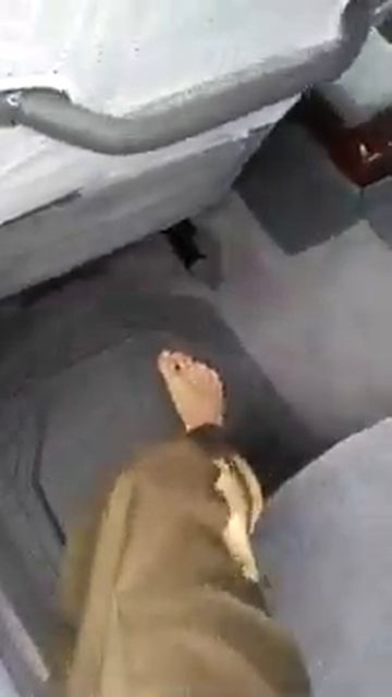 Про бережливость. смотреть онлайн