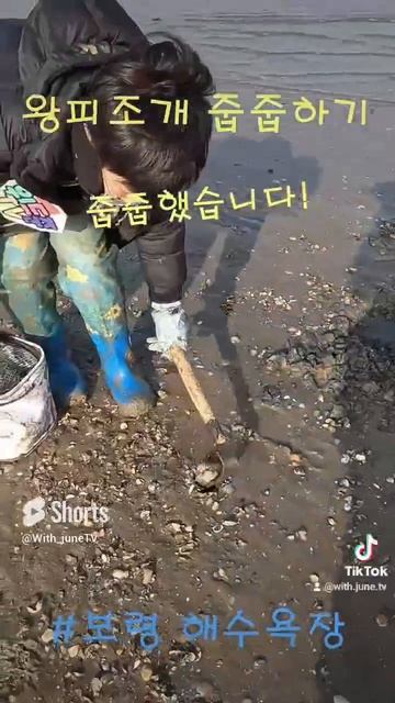 대왕피조개 줍줍하기 #해루질 смотреть онлайн