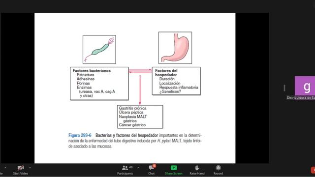 23022022 - Unidad 2 - Fisiopatología de adultos - Gastritis смотреть онлайн