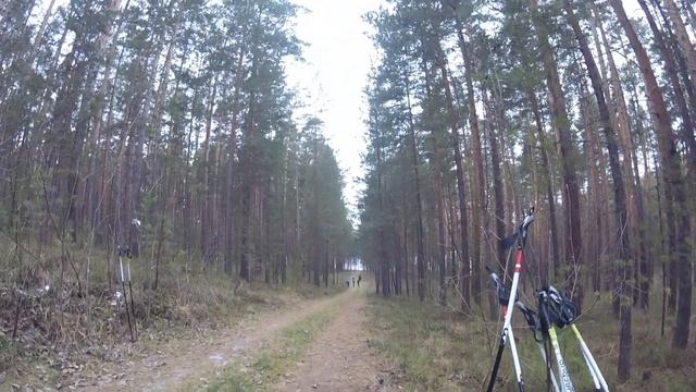 Эстафеты с моим участием смотреть онлайн