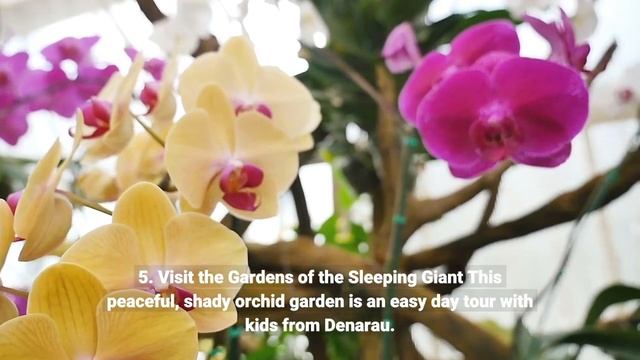 Things to do in Fiji with Kids смотреть онлайн