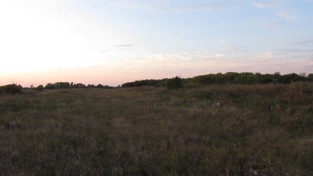 Идём по исчезнувшей деревне Реновка, Екатериновский район.