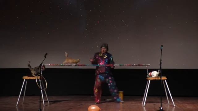 Кошки 6 смотреть онлайн