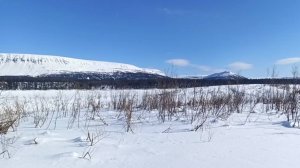 Рыбалка на хариуса. Горная река. Второй день. 06.04.2025