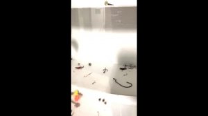 Интересные штучки бывают в людях