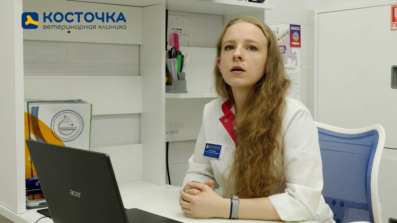 Почему собака ест фекалии смотреть онлайн