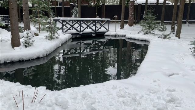 Новости с пруда.Вот такая вот весна 2025 смотреть онлайн