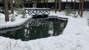 Новости с пруда.Вот такая вот весна 2025