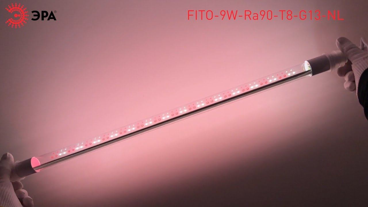 Фитолампа для растений светодиодная ЭРА FITO-9W-Ra90-Т8-G13-NL полного спектра 9 Вт Т8 G13 смотреть онлайн