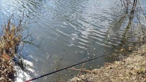 Первая рыбалка на озёрах. Оренбург