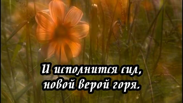 Ксения Лапицкая - Я колени склоню смотреть онлайн