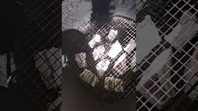 Каптилка из бочки быстро и надежно