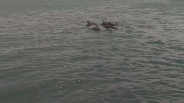 На акваториях Севастополя смотреть онлайн