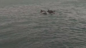 На акваториях Севастополя