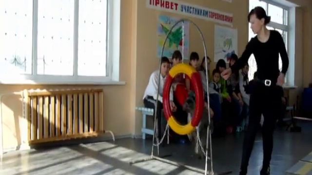 Поездка с собаками в детский дом села Некрасовка, 23.02.2014 смотреть онлайн