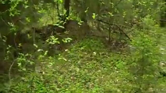 Коп.Советский блиноград.строчки. WW2 Military archeology смотреть онлайн