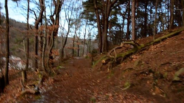 Зимний день. Ландштуль. 15.01.2017 смотреть онлайн