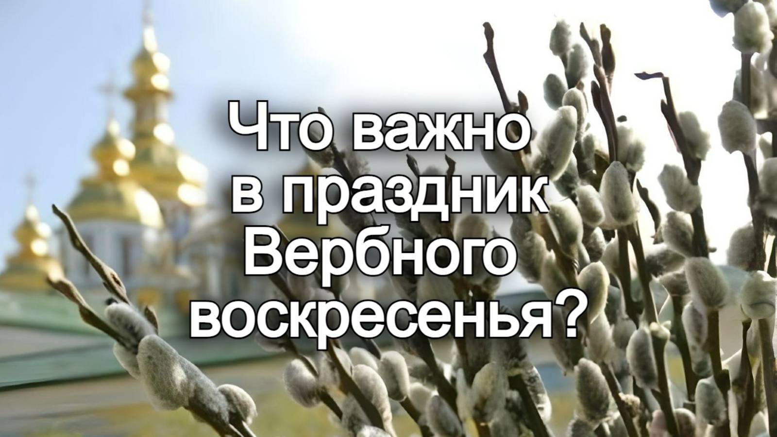 Что важно в праздник Вербного воскресенья? Священник Антоний Русакевич смотреть онлайн