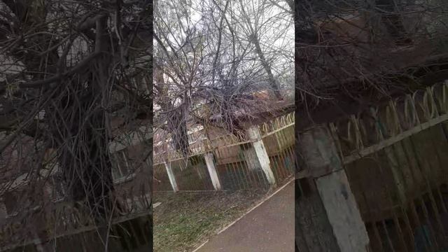20250407_091457 смотреть онлайн