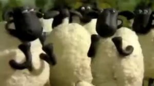 Овца! Овца! Овца!