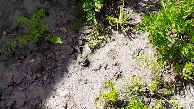 жизнь в селе Атырау