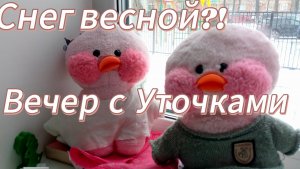 Вечер с уточками / делаем уроки. 📚/Уточка Милка Ася и Вика