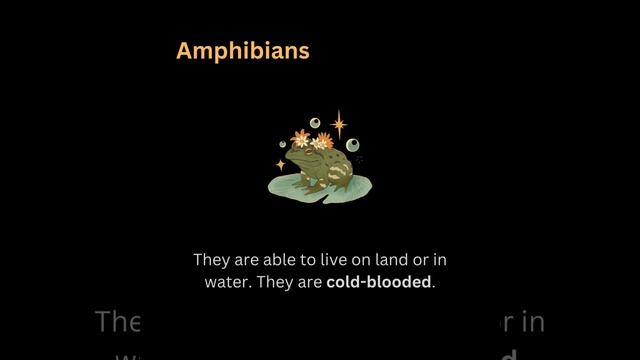 Amphibians - English Vocabulary Practice 🐸 смотреть онлайн
