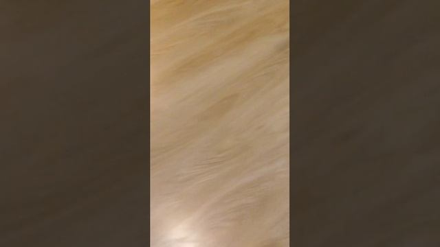Прятки смотреть онлайн
