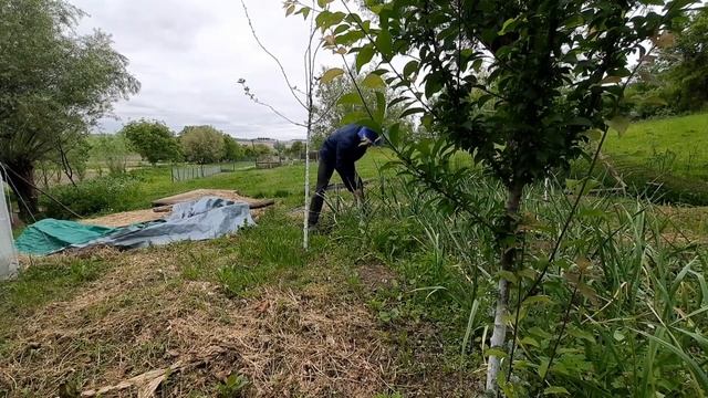 AȘA SE MĂNÂNCĂ USTUROI DE CASĂ | Proiecte La Tara смотреть онлайн