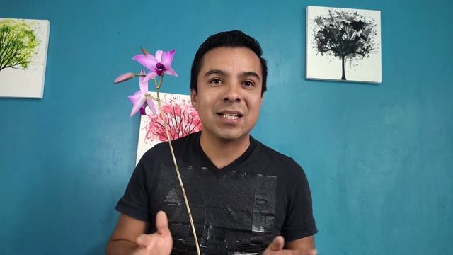 hibridos primarios de Laelias en México #orquideas #laelia смотреть онлайн