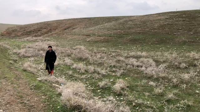 Тандыр гушт! Узбекистан! смотреть онлайн