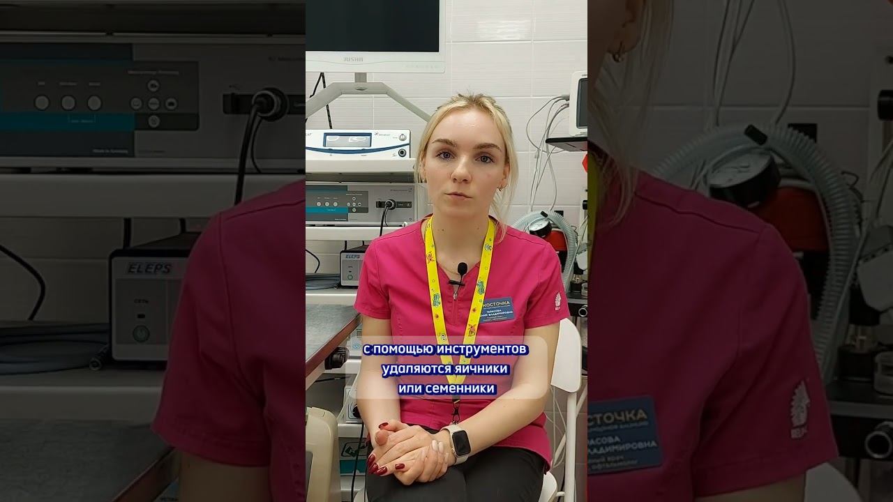 Как проводится лапароскопическая кастрация смотреть онлайн
