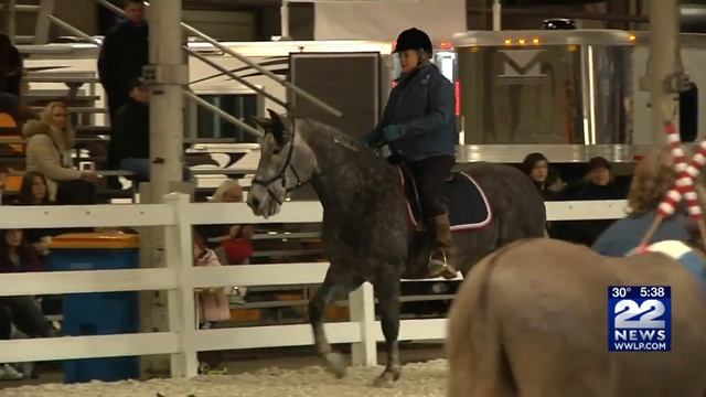 Premiere horse exposition comes to West Springfield смотреть онлайн