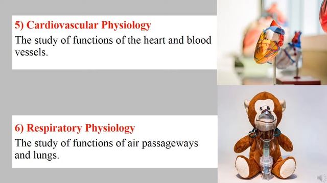 What Is Physiology In Urdu || Introduction To Human Physiology In Hindi || Branches Of Physiology смотреть онлайн