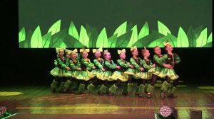 20 лет Эдельвейс