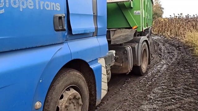 Жнива 2022. Соняшник не здається. Застрягли в полі смотреть онлайн