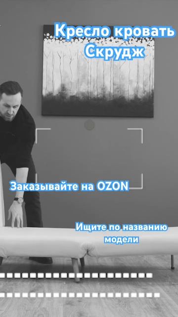 Кресло кровать Скрудж уже на OZON #креслокровать #ozon #мебель #дизайнинтерьера #home #интерьер смотреть онлайн