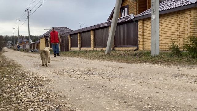 Шах для Камала в Анталию.БУЛЬДОЗЕРА,ТОПАЗА линии,перед отъездом в Турцию.24.04.21съёмка.+7915778778 смотреть онлайн