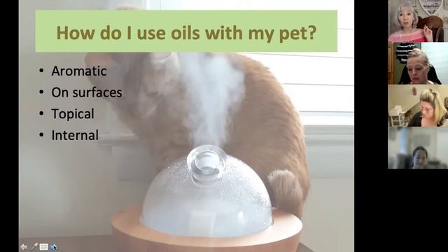 The Oily Pet: Safe Essential Oil Methods for Cats & Dogs