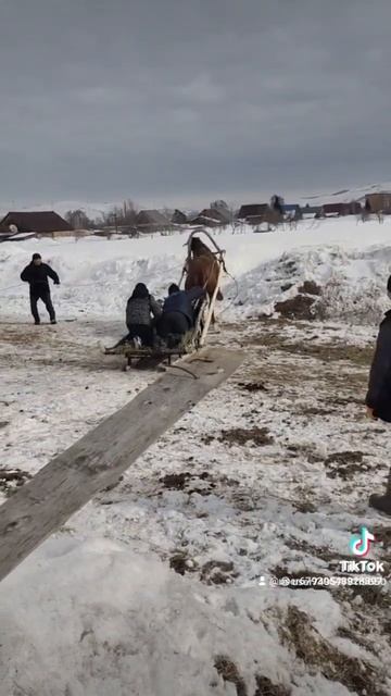 Обучения каня смотреть онлайн