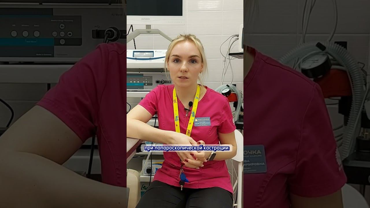 Чем отличается лапароскопическая кастрация от классической смотреть онлайн