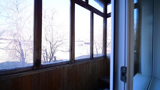 DSC_4447 смотреть онлайн