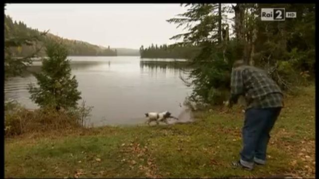 Сам собака смотреть онлайн