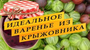 Варенье из крыжовника «Интернациональное».