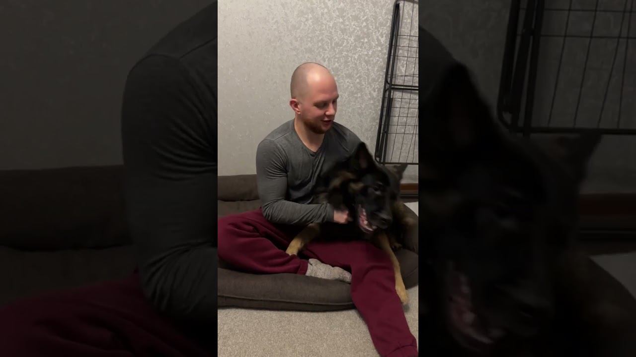 Отзыв о работе нефролога Крайновой А. Д. смотреть онлайн