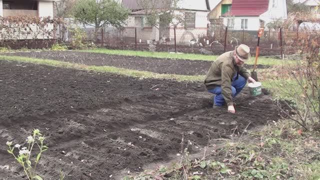 Взял отгул для поездки в Орёл// Осень затянулась, посадил лук и чеснок смотреть онлайн